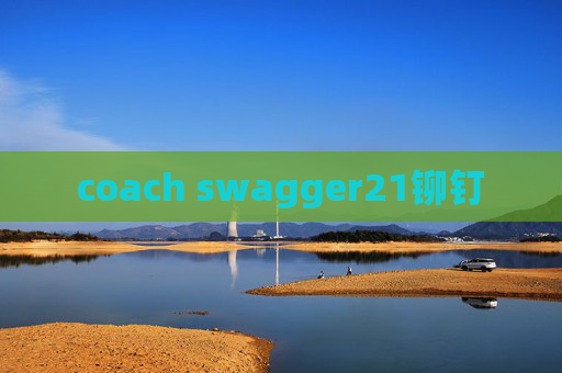 coach swagger21铆钉